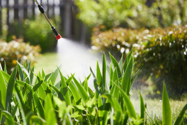 24/7 Emergency Cockroach Control experts in Brownsburg, IN