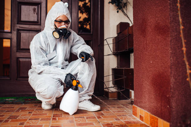 Reliable Cockroach Control contractor in Brownsburg, IN by Nex Pest Control