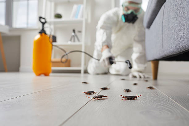 Trusted Rodent Control service in Brownsburg, IN - Nex Pest Control