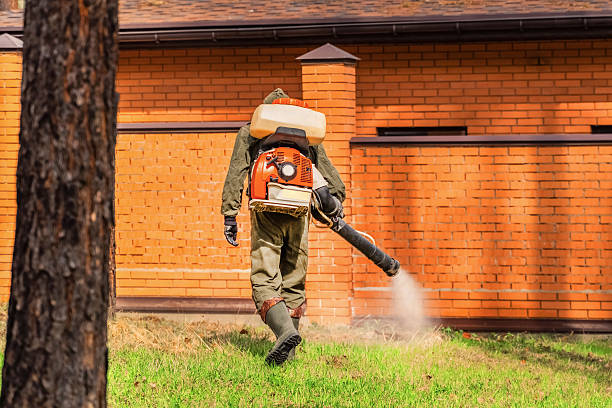 Trusted Cockroach Control service in Brownsburg, IN - Nex Pest Control